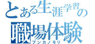 とある生涯学習の職場体験（ブンカノモリ）