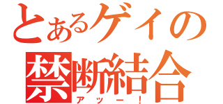 とあるゲイの禁断結合（アッー！）