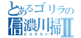 とあるゴリラの信濃川掃除Ⅱ（どぶさらい）