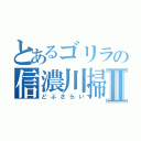 とあるゴリラの信濃川掃除Ⅱ（どぶさらい）