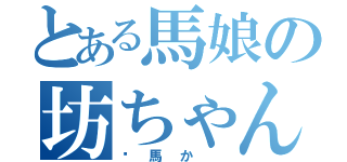 とある馬娘の坊ちゃん（騸馬か　）