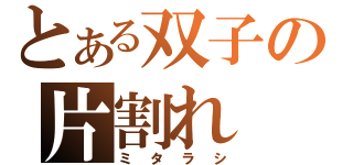 とある双子の片割れ（ミタラシ）