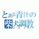 とある青汁の柴犬調教（４８犬）