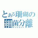 とある珊瑚の細菌分離（アソシエイト）