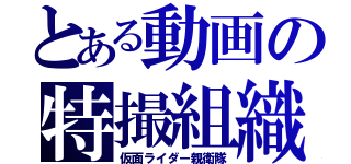 とある動画の特撮組織（仮面ライダー親衛隊）