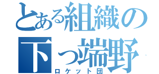 とある組織の下っ端野郎（ロケット団）