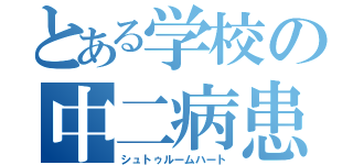 とある学校の中二病患者（シュトゥルームハート）