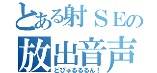 とある射ＳＥの放出音声（どぴゅるるるん！）