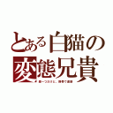 とある白猫の変態兄貴（壁一つだけど、携帯で連絡）