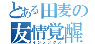 とある田麦の友情覚醒（インデックス）