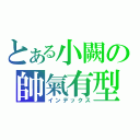 とある小闕の帥氣有型（インデックス）