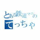 とある鉄道マニアのてっちゃん（）