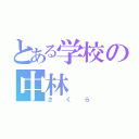 とある学校の中林（さくら）