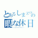 とあるしまＺＯＯの暇な休日（（（（ｏ（＊゜▽゜＊）ｏ））））