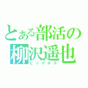 とある部活の柳沢遥也（ビッグボス）