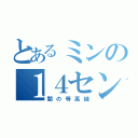 とあるミンの１４センチ（闇の等高線）