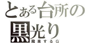 とある台所の黒光り（飛来するＧ）