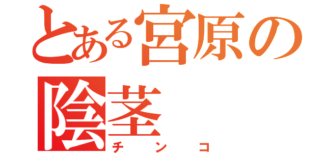 とある宮原の陰茎（チンコ）