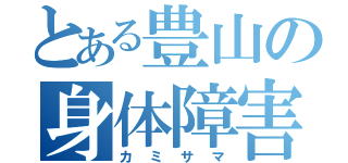 とある豊山の身体障害者（カミサマ）