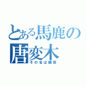 とある馬鹿の唐変木（その名は勝悟）