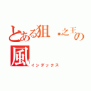 とある狙擊之王の風（インデックス）