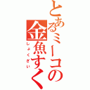 とあるミーコの金魚すくい（しょくざい）