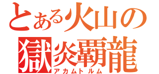 とある火山の獄炎覇龍（アカムトルム）