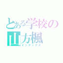 とある学校の山方楓（インデックス）