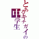 とあるキチガイの中学生（）