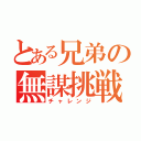 とある兄弟の無謀挑戦（チャレンジ）