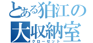 とある狛江の大収納室（クローゼット）