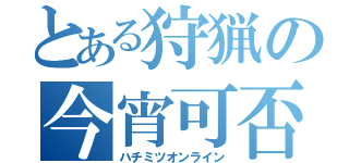 とある狩猟の今宵可否（ハチミツオンライン）