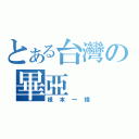 とある台灣の畢亞（根本一樣）