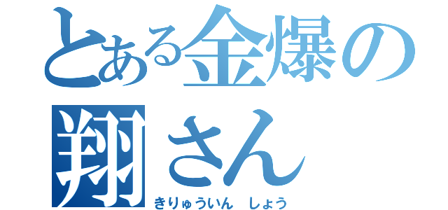 とある金爆の翔さん（きりゅういん　しょう）