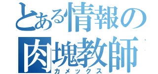 とある情報の肉塊教師（カメックス）