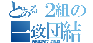 とある２組の一致団結（青組目指すは優勝）