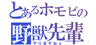 とあるホモビの野獣先輩（やりますねぇ）