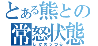 とある熊との常怒状態（しかめっつら）