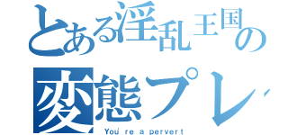 とある淫乱王国の変態プレイ（ Ｙｏｕ'ｒｅ ａ ｐｅｒｖｅｒｔ）