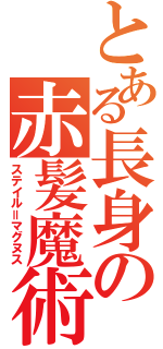 とある長身の赤髪魔術師（ステイル＝マグヌス）