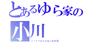 とあるゆら家の小川（シートベルトになった小川）