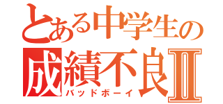 とある中学生の成績不良Ⅱ（バッドボーイ）