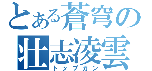 とある蒼穹の壮志凌雲（トップガン）