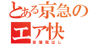 とある京急のエア快（京蒲飛ばし）