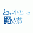 とある小佐井の敏弘君（タマヒトツ）