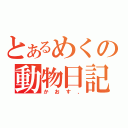 とあるめくの動物日記（かおす、）