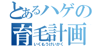 とあるハゲの育毛計画（いくもうけいかく）