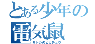 とある少年の電気鼠（サトシのピカチュウ）