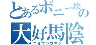 とあるポニー絵描きの大好馬陰茎（ニョウドウマン）