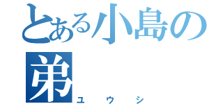 とある小島の弟（ユウシ）